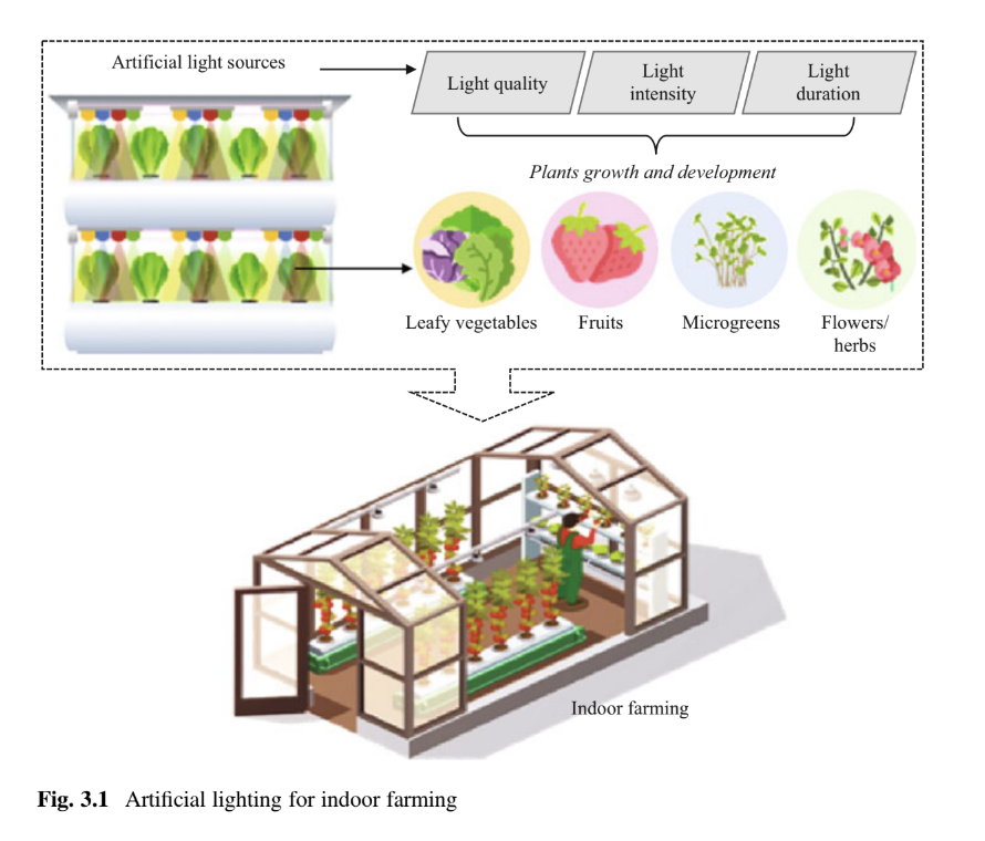 Boosting Indoor Farming with Artificial Lighting: A Guide for Agriculture Enthusiasts